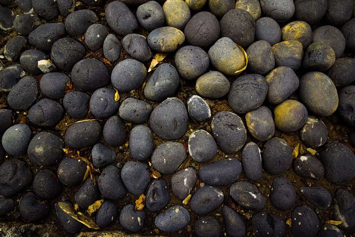 第4回 シグブラ フォトウォーク   in 多摩丘陵